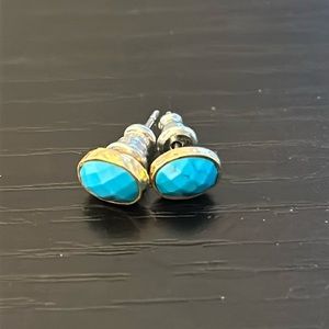 Women’s Blue/Gold Earrings AMAZING CONDITION